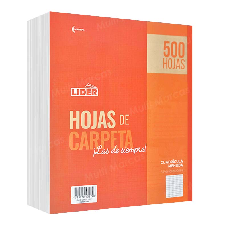 100 Hojas de Carpeta  Cuadricula Corriente - 5 mm.