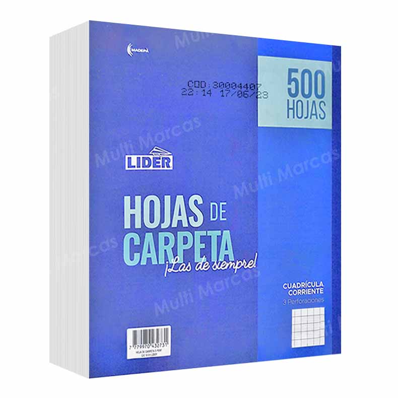 Hojas de Carpeta, Pack de 500 hojas MASTER Ilusión Cuadricula Corriente