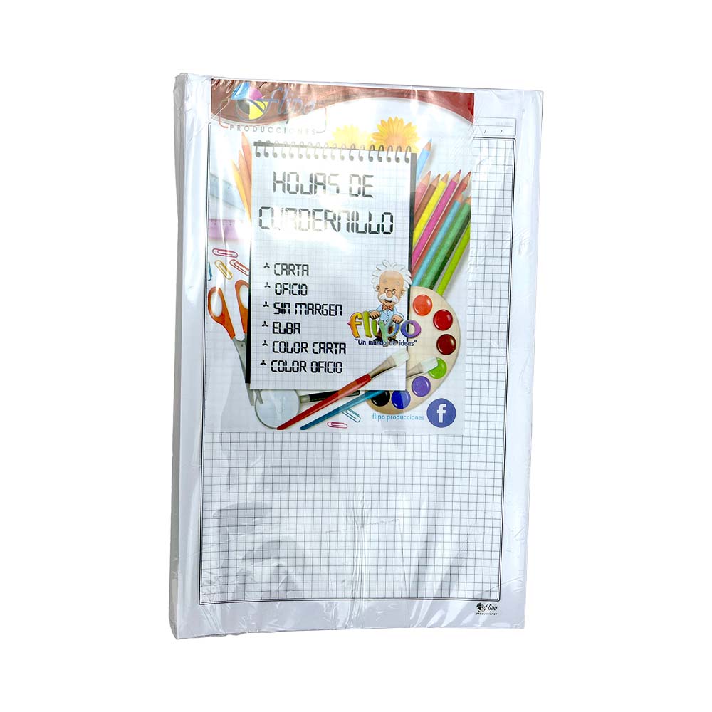 Paquete de 1000 Hojas de Cuadernillo Cuadrícula 0.5 mm. (Normal) Color Plomo Tamaño Oficio