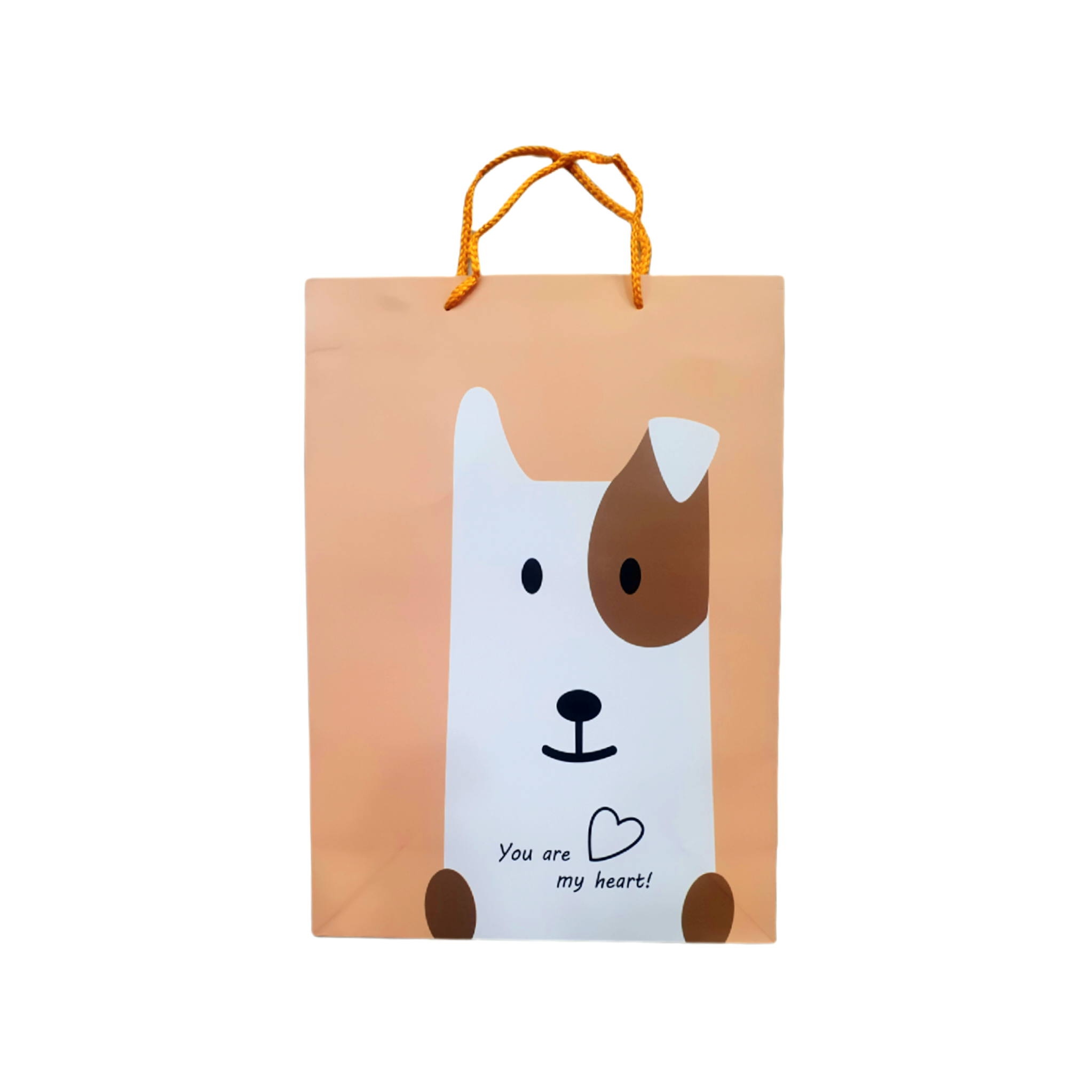 Bolsa de Regalo Grande 42X30 cm. Minimalista Animales YULY YL-71595