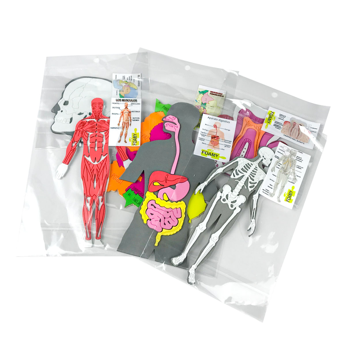 Figuras de Goma Eva Cuerpo Humano y otros (Pequeños)