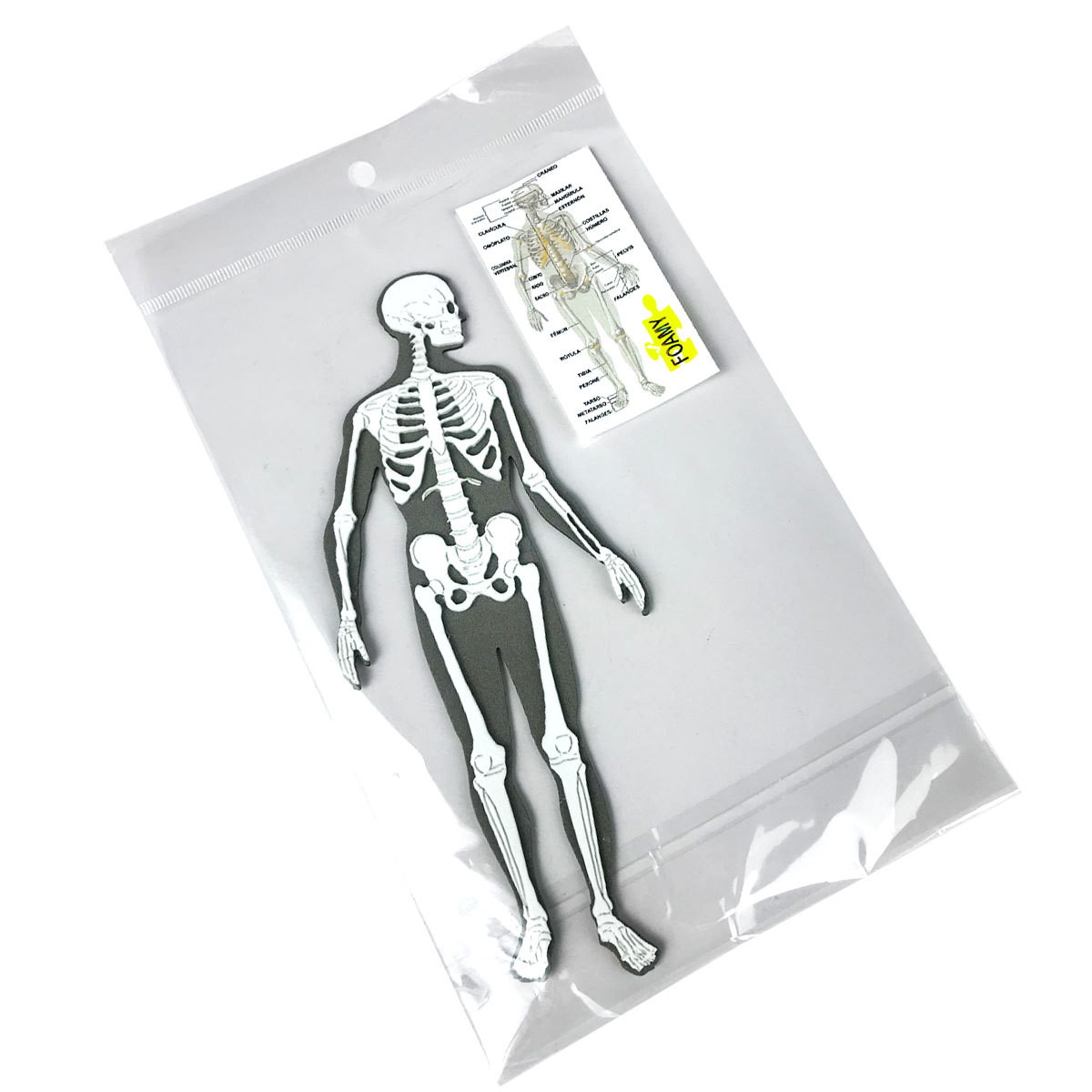 Figuras de Goma Eva Cuerpo Humano y otros (Pequeños)