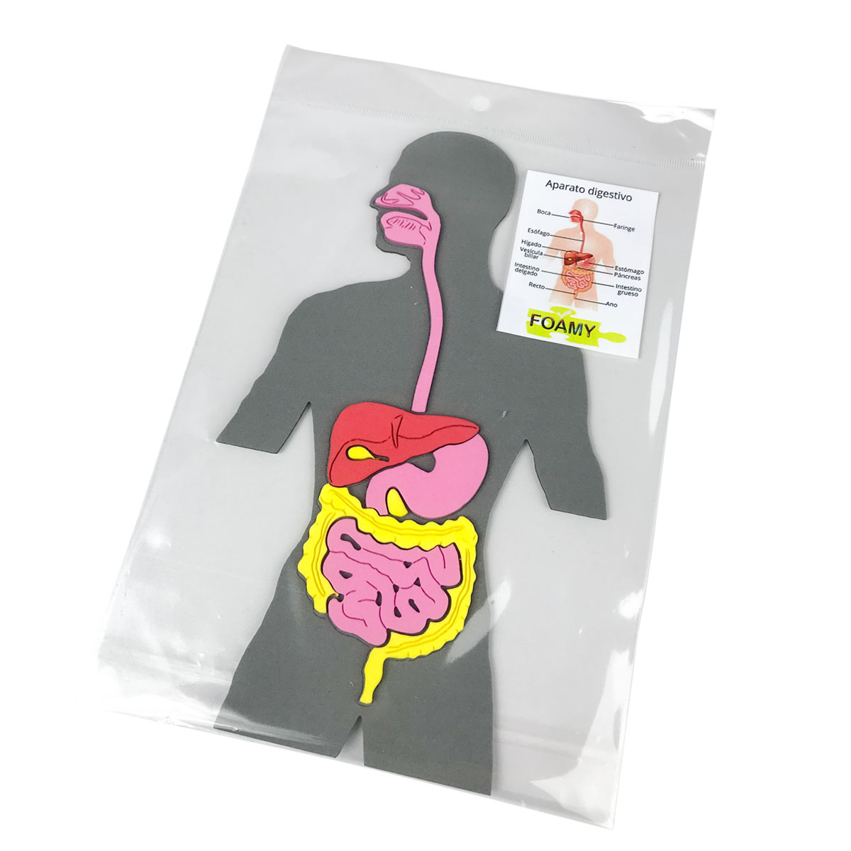 Figuras de Goma Eva Cuerpo Humano y otros (Pequeños)