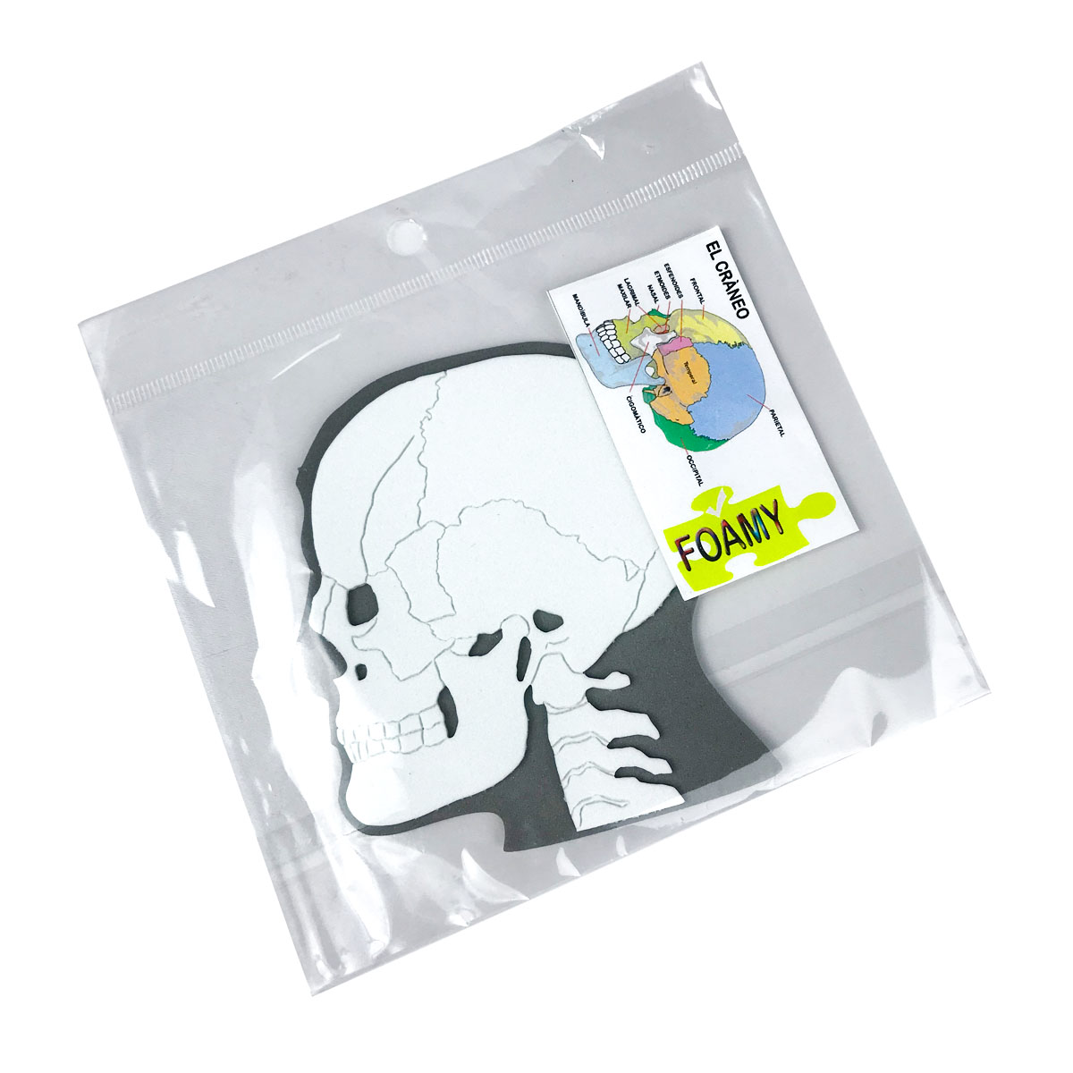Figuras de Goma Eva Cuerpo Humano y otros (Pequeños)
